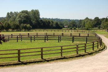 Paddock Haras de Meniljean